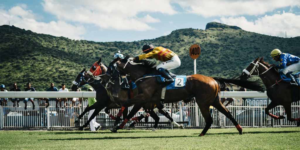 Principal vantagem da casa de apostas esportivas Betsson – Corridas de cavalos