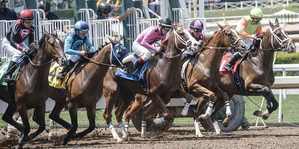 Principal vantagem da casa de apostas esportivas NetBet – Corrida de cavalos