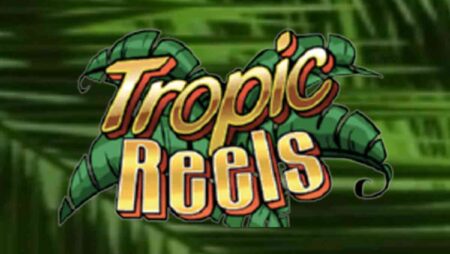 RTP 99,00% | Tropic Reels bolada de cassino online – Ganhe milhões de dólares!
