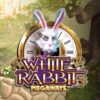 RTP 97,78% | White Rabbit Megaways bolada de cassino online – Ganhe milhões de dólares!