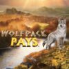 RTP 97,50% | Wolfpack Pays bolada de cassino online – Ganhe milhões de dólares!
